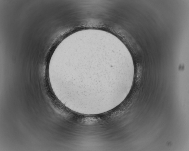 X0000094460636200712061224