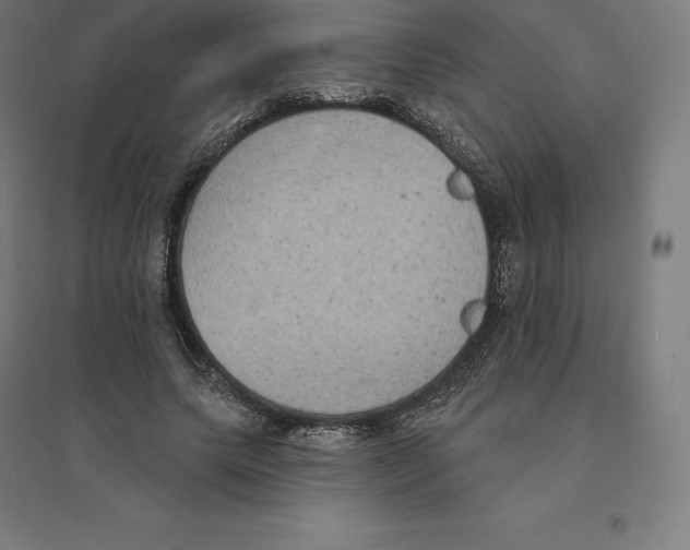 X0000094460639200712061224