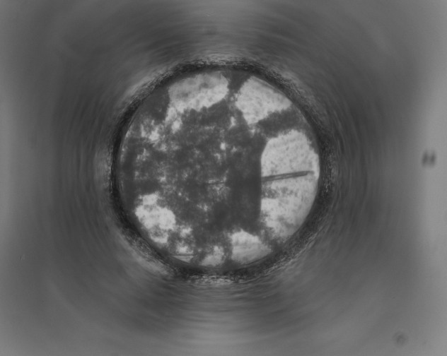 X0000094460640200712061224