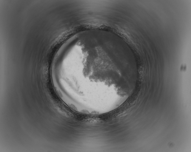 X0000094460642200712061224