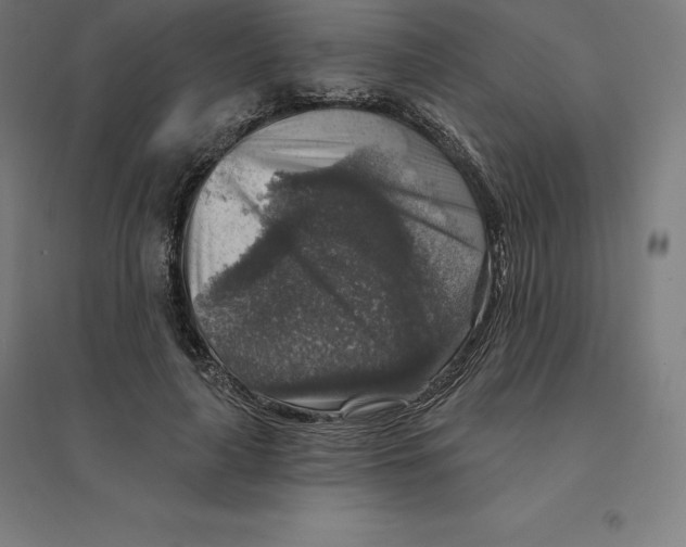 X0000094460643200712061224