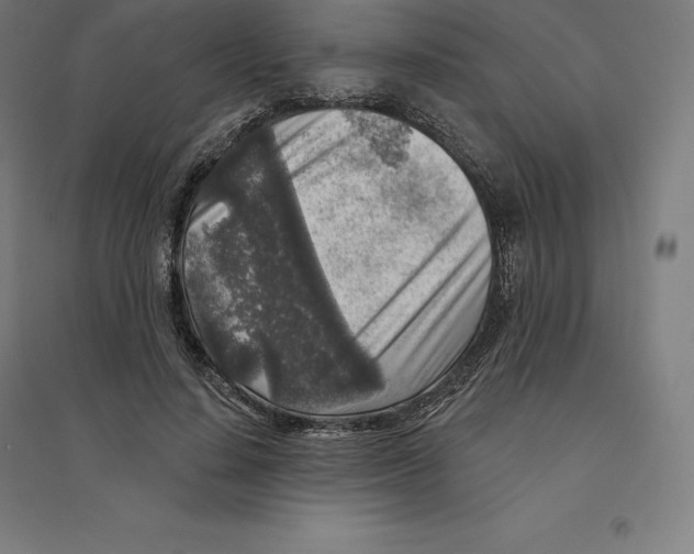 X0000094460644200712061224