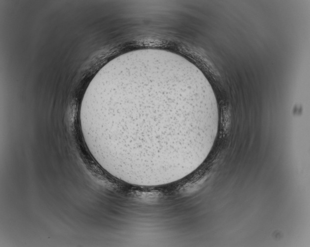 X0000094460645200712061224