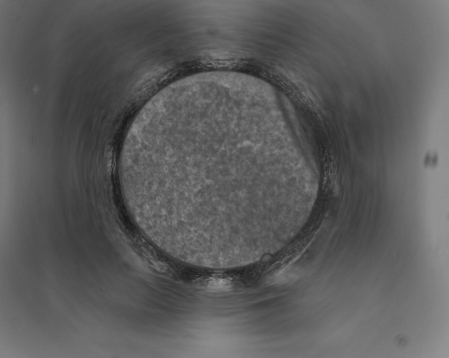 X0000094460647200712061224