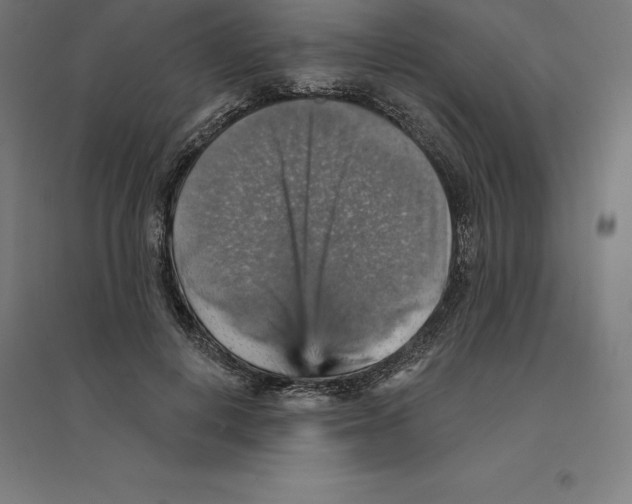 X0000094460648200712061224