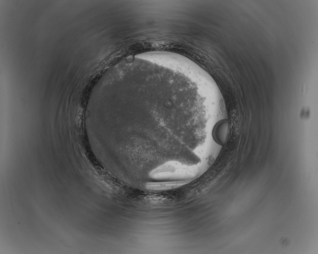 X0000094460650200712061224