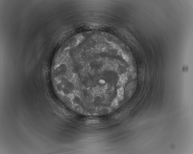 X0000094460653200712061224