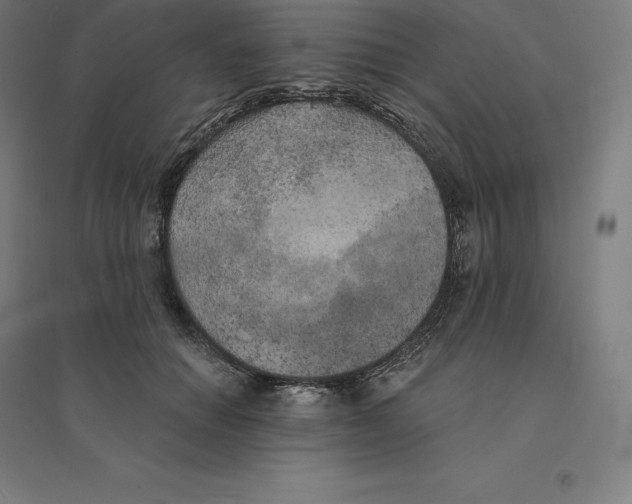 X0000094460654200712061224