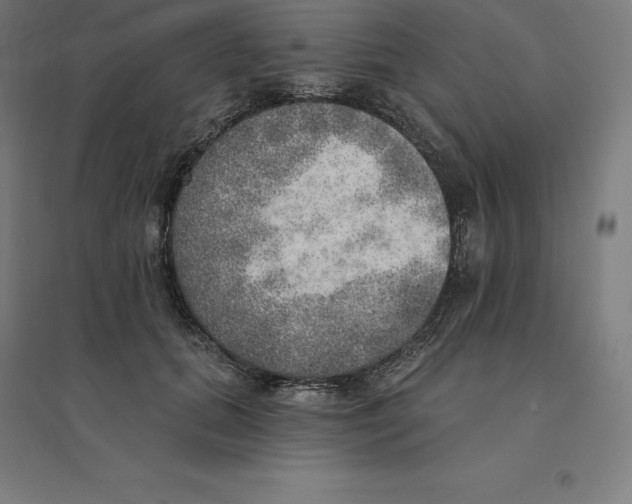 X0000094460655200712061224