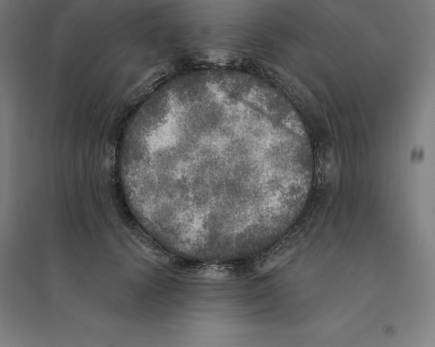 X0000094460656200712061224