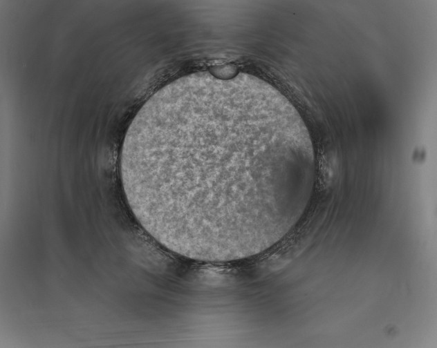 X0000094460657200712061224