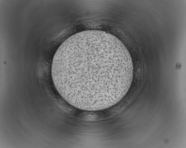 X0000094460658200712061224