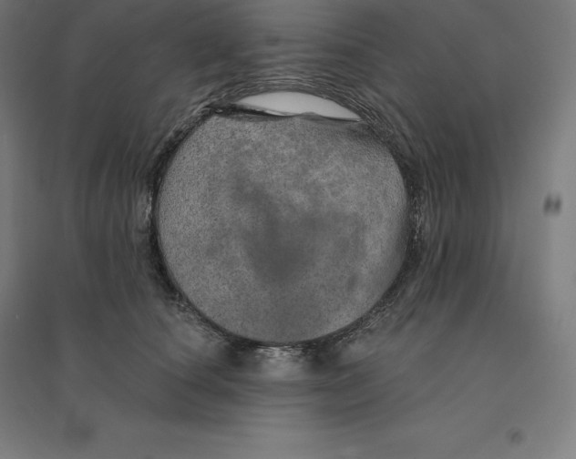 X0000094460660200712061224