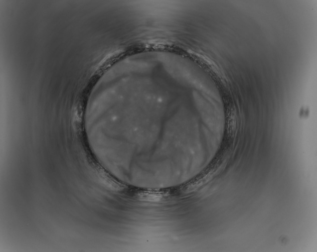 X0000094460661200712061224