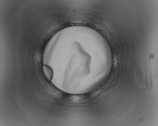 X0000094460662200712061224