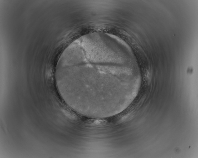 X0000094460663200712061224