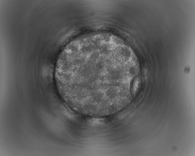 X0000094460664200712061224