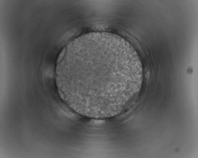 X0000094460665200712061224