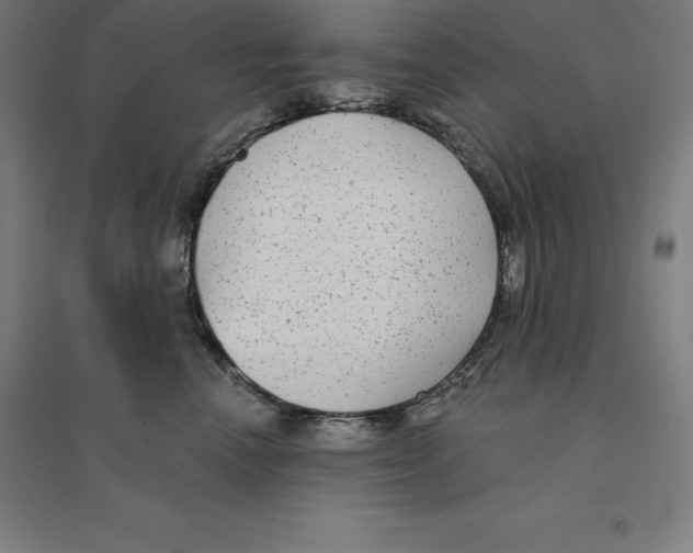 X0000094460666200712061224