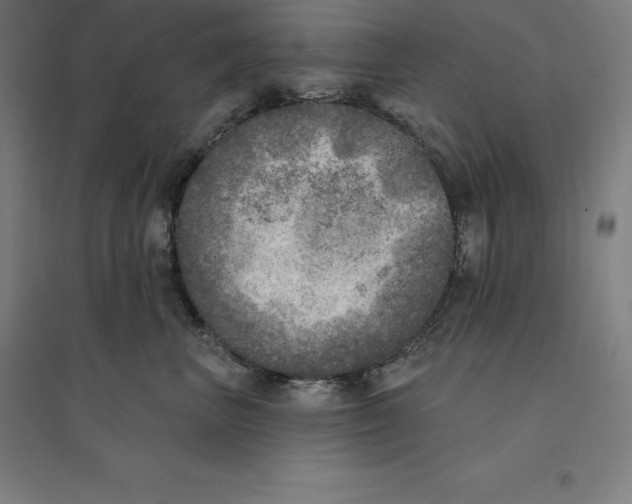 X0000094460667200712061224