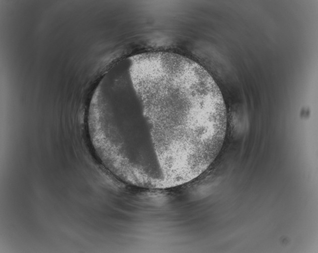 X0000094460668200712061224