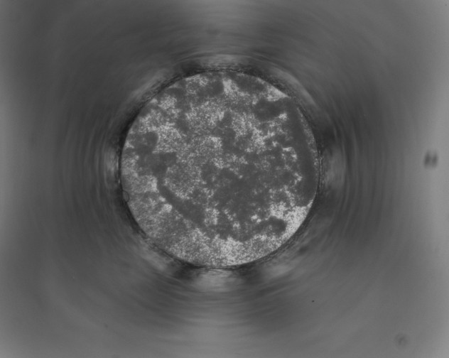 X0000094460669200712061224