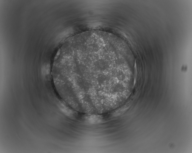 X0000094460670200712061224