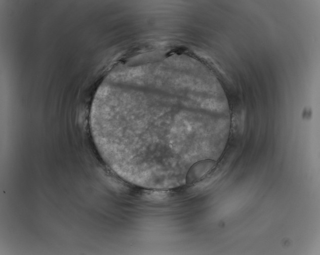 X0000094460671200712061225