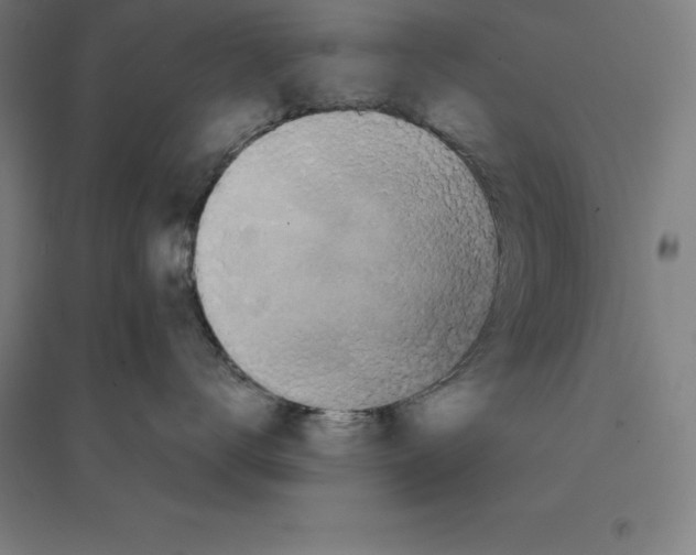 X0000094460672200712061225