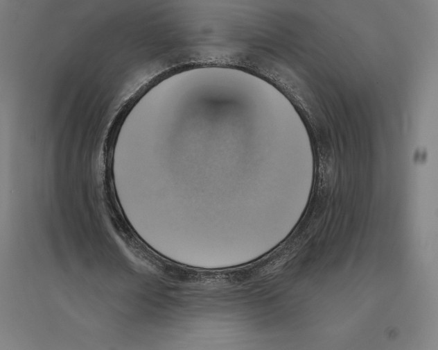 X0000094460674200712061224