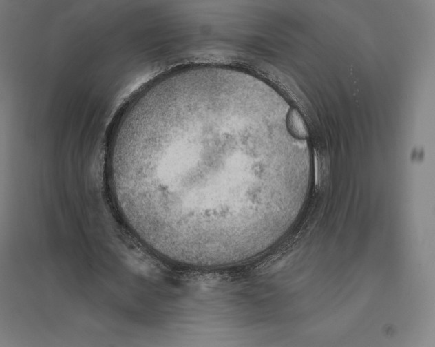 X0000094460675200712061224