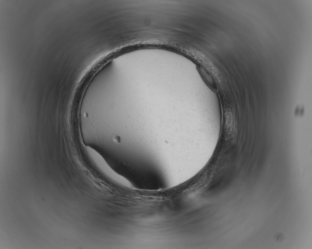 X0000094460676200712061224