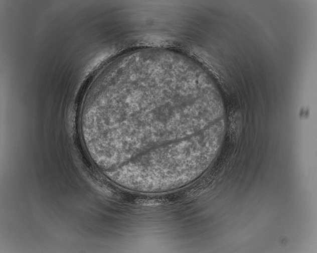 X0000094460679200712061224