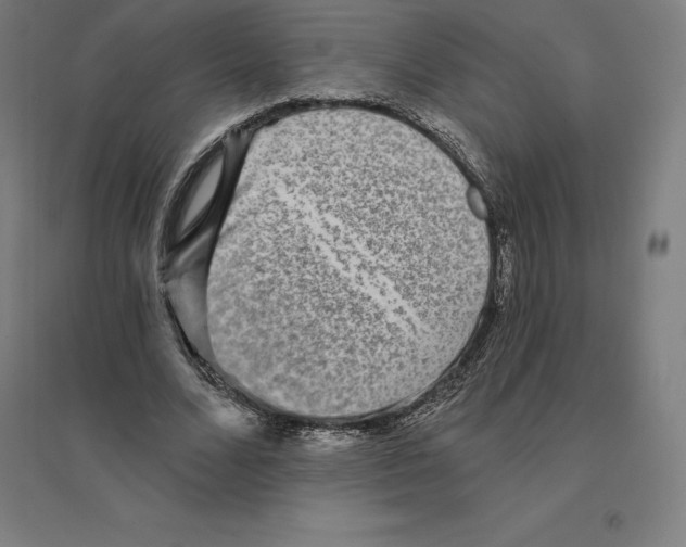 X0000094460680200712061224