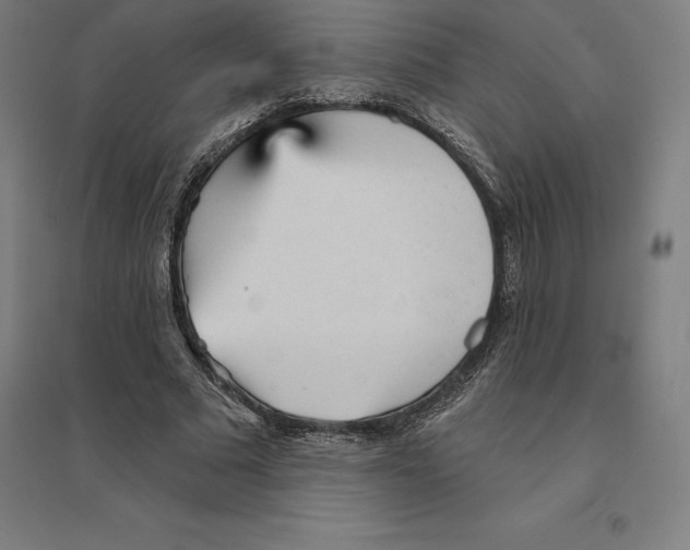 X0000094460681200712061224