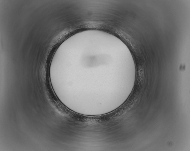 X0000094460682200712061224