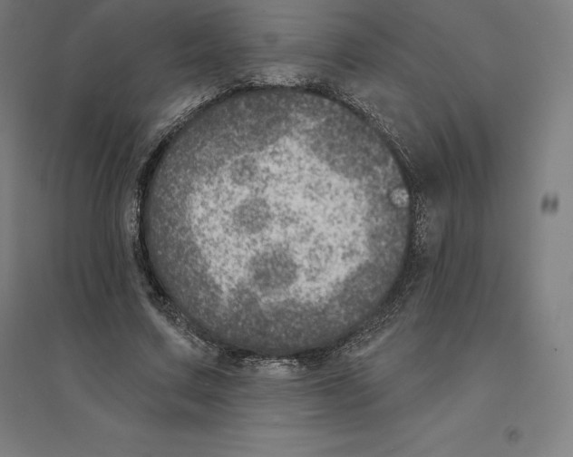 X0000094460683200712061224