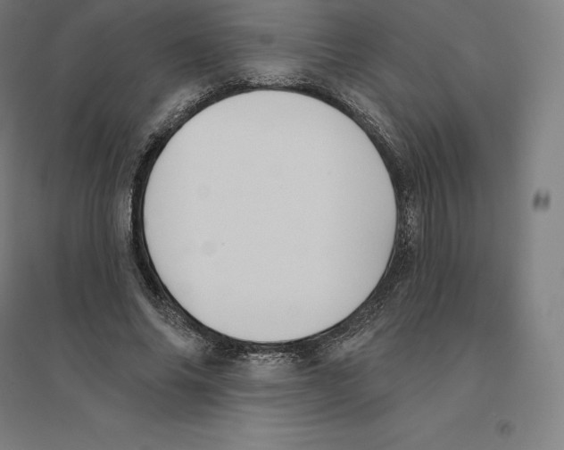 X0000094460686200712061224