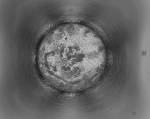 X0000094460687200712061224