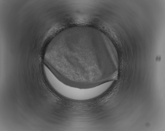 X0000094460689200712061224