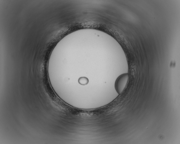 X0000094460690200712061224