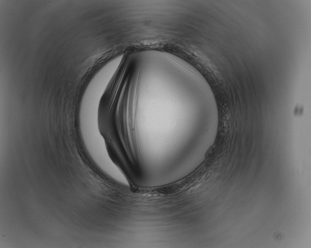 X0000094460693200712061224