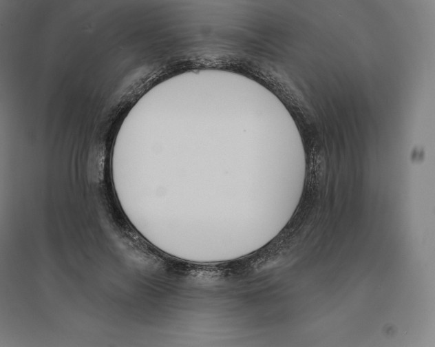 X0000094460694200712061224