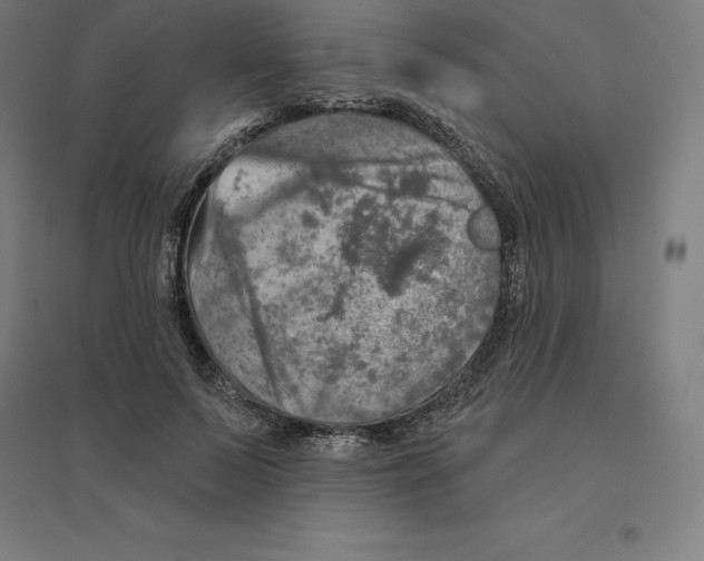 X0000094460695200712061224