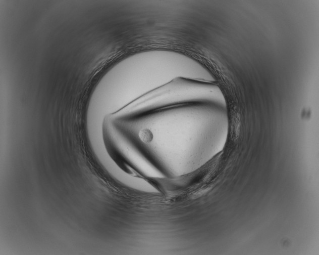 X0000094460696200712061224