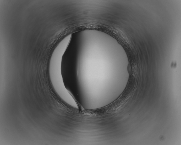 X0000094460697200712061224