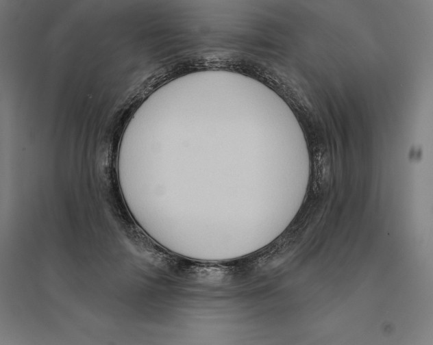 X0000094460698200712061224