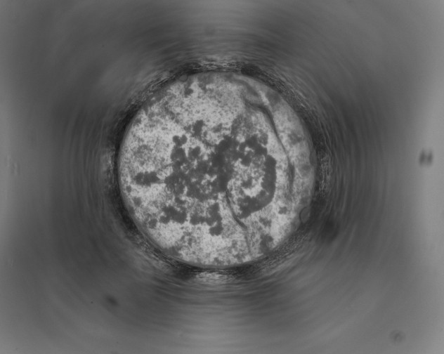 X0000094460699200712061224