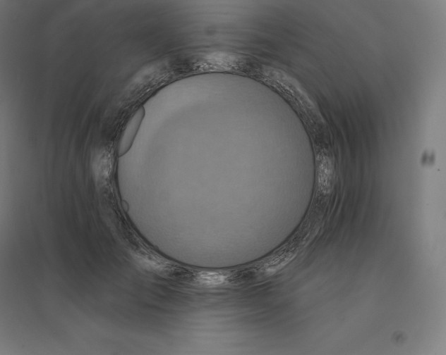 X0000094460701200712061223