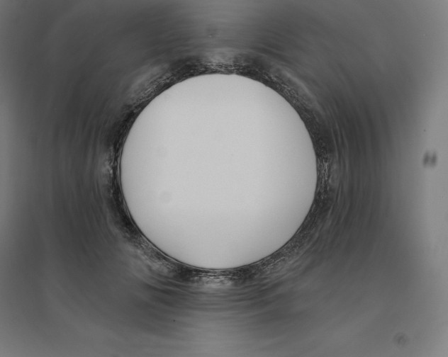 X0000094460702200712061223